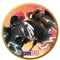km88